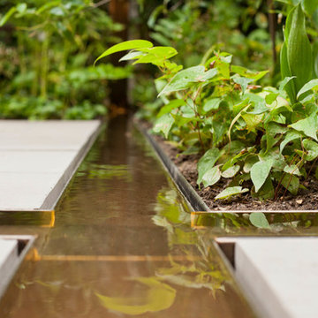 A garden in Chelsea