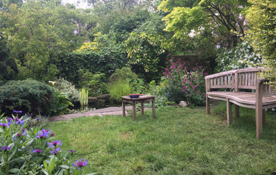 Yard of the Week: Lush Aquatic Garden Welcomes Wildlife