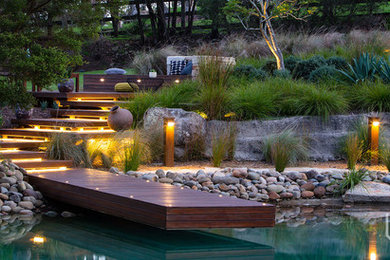 Design ideas for an expansive modern back full sun garden in Sydney with decking.