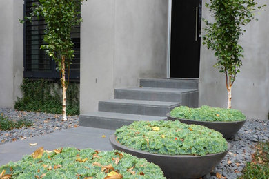 Diseño de jardín contemporáneo en patio delantero