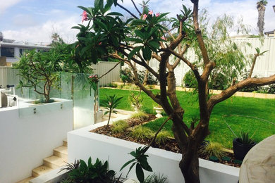 Diseño de jardín minimalista de tamaño medio en patio