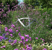 Gilly Leach Garden Design Harpenden Hertfordshire Uk Al5 4rd Houzz