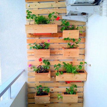 Anagha's Home Gardens