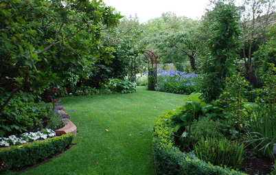 How to Tap the Potential of a Big Side Yard