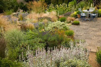 Moderner Garten in Dorset