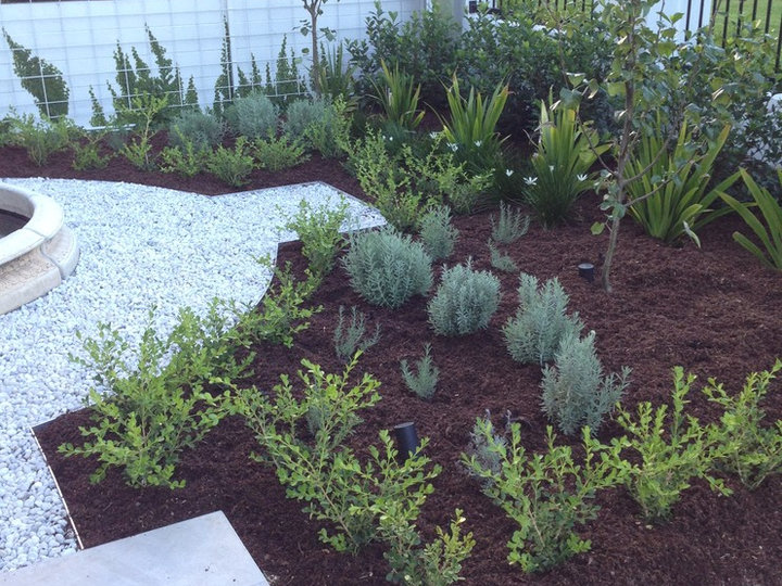 Landscape - Traditional Landscape