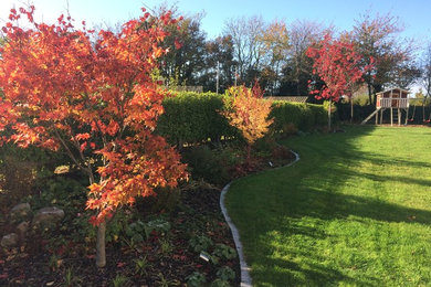 Photo of a large rural back full sun garden for autumn in Dublin.