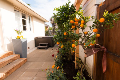 Ejemplo de jardín tropical de tamaño medio en patio trasero con exposición parcial al sol