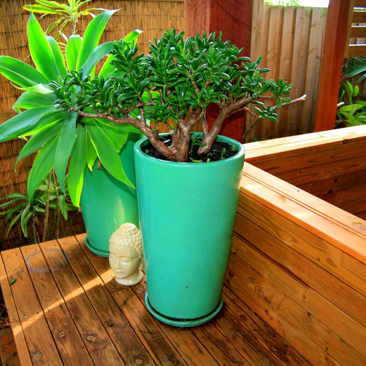 Balinese Garden | Houzz