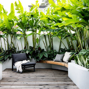 Foto di un piccolo giardino tropicale esposto in pieno sole dietro casa con un muro di contenimento e pedane