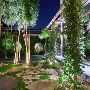 Bamboo & Mirrors