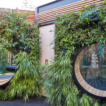 Bamboo & Mirrors