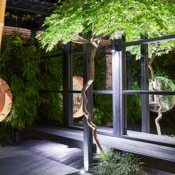 Bamboo & Mirrors