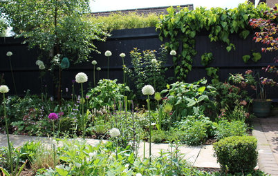 How to Have a Wildlife-friendly Garden That’s Also Stylish