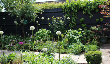 How to Have a Wildlife-friendly Garden That’s Also Stylish