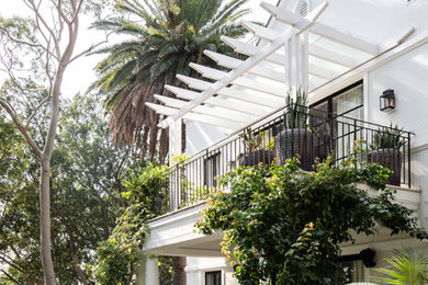 シドニーにある高級な広いコンテンポラリースタイルのおしゃれな庭の写真