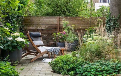 Yard of the Week: Small Haven for Gardening and Outdoor Living
