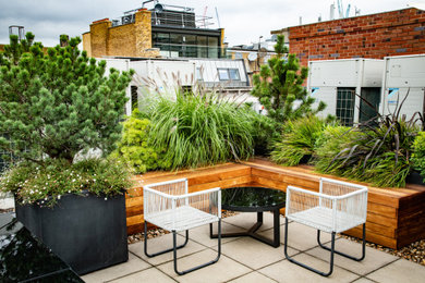 Small contemporary roof xeriscape full sun garden for summer in London with a potted garden and concrete paving.