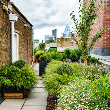 Bermondsey Roof Garden