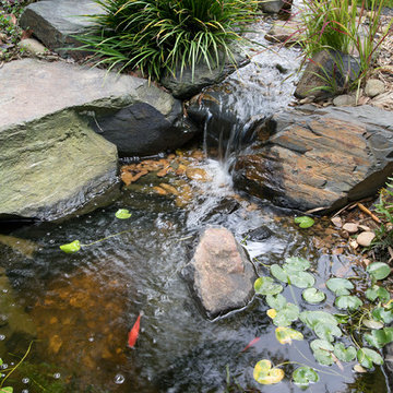 Blackburn Japanese-style garden, pond and waterfall