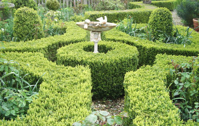 Ask an Expert: Things to Consider When Choosing a Garden Designer