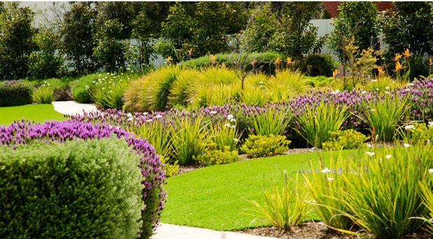 Contemporary Garden by Genus Landscape Architects
