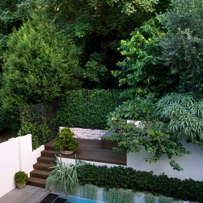 Photo of a contemporary backyard landscaping in Sydney.