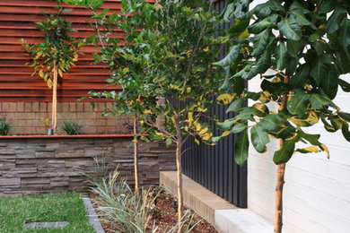 Idée de décoration pour un petit jardin arrière minimaliste au printemps avec un mur de soutènement, une exposition partiellement ombragée et des pavés en brique.