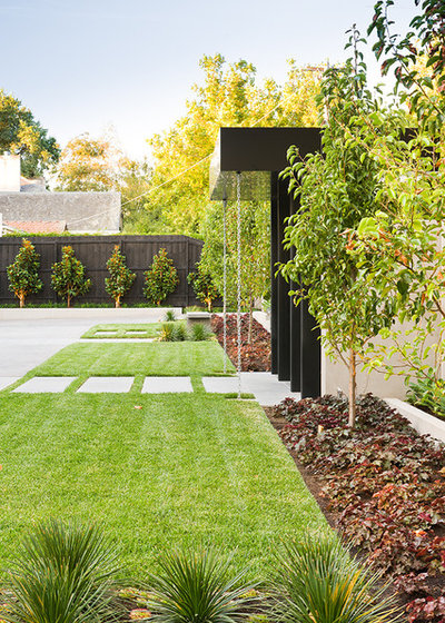 Contemporary Garden by C.O.S Design