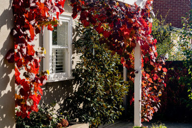 Diseño de jardín tradicional en otoño con jardín vertical, exposición total al sol y adoquines de piedra natural