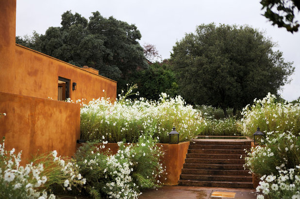 Exótico Jardín by Caruncho Garden & Architecture