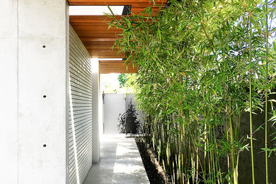 На фото: участок и сад на боковом дворе в стиле модернизм с