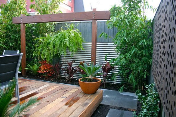 Contemporary Garden by Andrew Lynch Landscaping