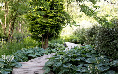 Step This Way: Ideas From the Year’s Most Popular Garden Paths