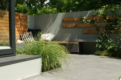 Inspiration for a small contemporary garden in London.