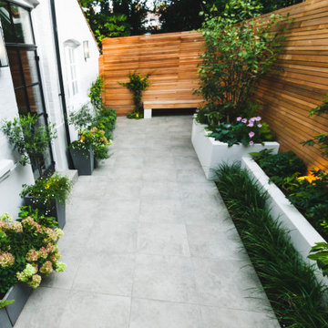 Chiswick Contemporary courtyard