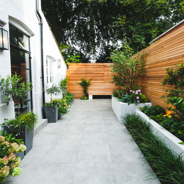 Chiswick Contemporary courtyard