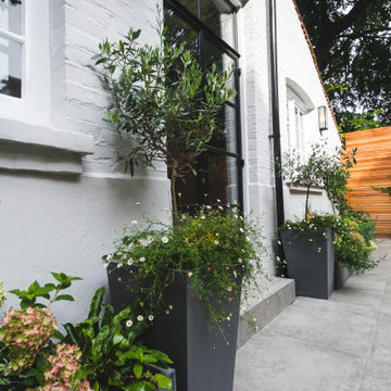 Chiswick Contemporary courtyard