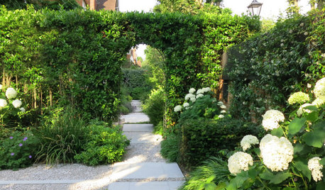 17 Narrow Side Gardens That Bring Beauty to Shady Spots
