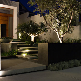 Foto di un giardino design davanti casa