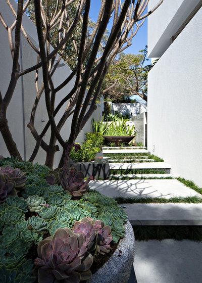 Contemporary Landscape by Tim Davies Landscaping | Perth