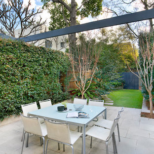 Design ideas for a traditional backyard garden in Sydney with a vertical garden and concrete pavers.