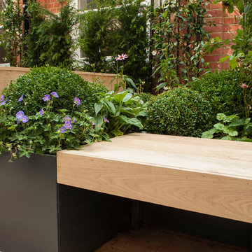 Classical London Roof Terrace by Aralia 'Knightsbridge'