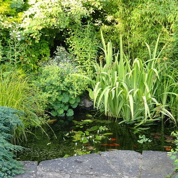 Close up of the fish pond