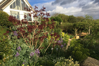 Photo of a medium sized coastal sloped xeriscape partial sun garden in Dorset with a flowerbed and gravel.