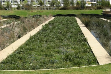 Diseño de jardín de secano actual extra grande con fuente y exposición total al sol