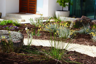 Foto de camino de jardín de secano contemporáneo de tamaño medio en patio delantero con exposición total al sol y gravilla