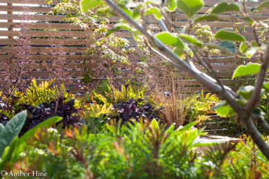 Ejemplo de jardín de secano actual pequeño en patio trasero con macetero elevado y adoquines de piedra natural