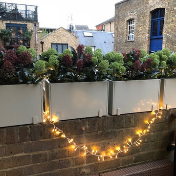 Compact Roof Terrace in Borough