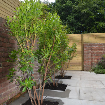 Completed Garden design Tunbridge Wells